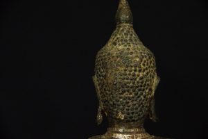 IMGP2652