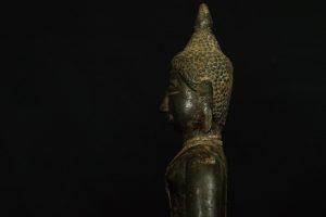 IMGP2653