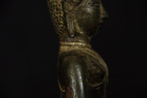 IMGP2655