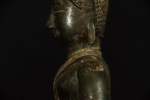 IMGP2657
