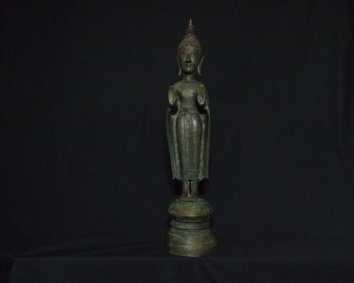 IMGP2814