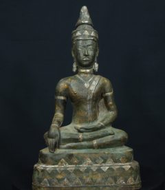 IMGP3019