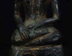 IMGP3169