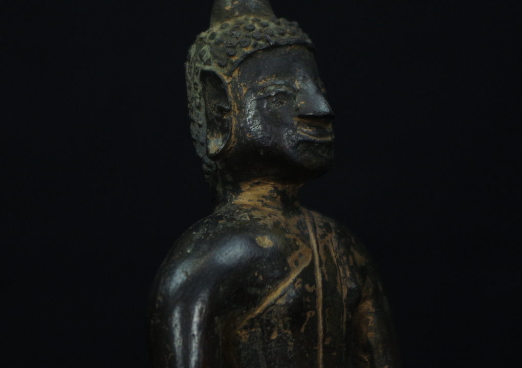 IMGP3170