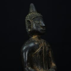 IMGP3170