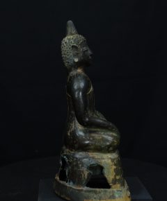 IMGP3171