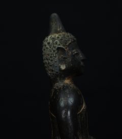 IMGP3172
