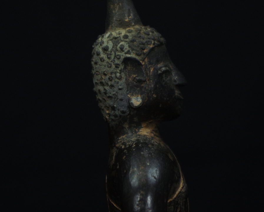 IMGP3172