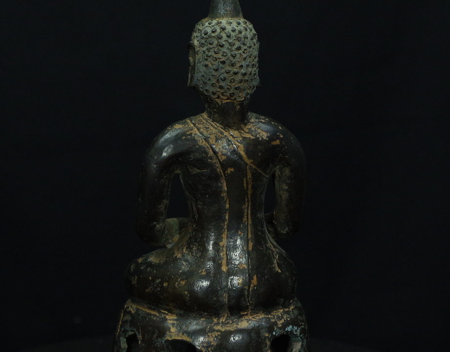 IMGP3173