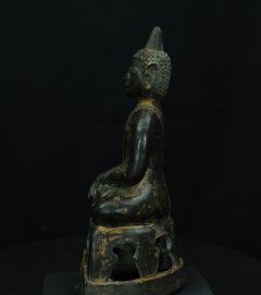 IMGP3174