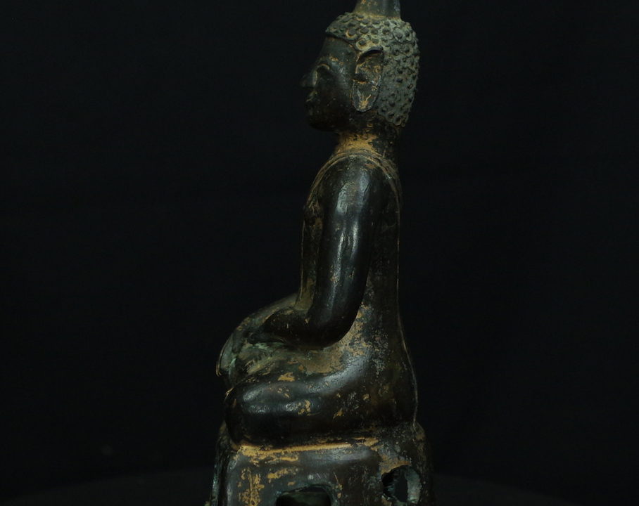 IMGP3174