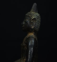 IMGP3175