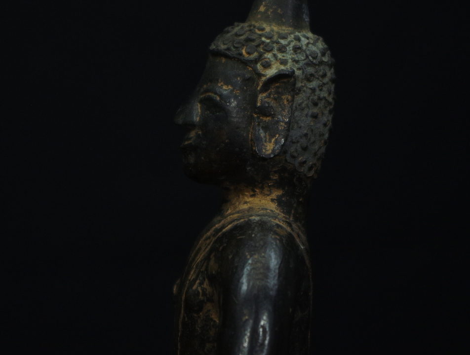 IMGP3175