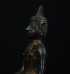 IMGP3176