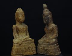 IMGP3251