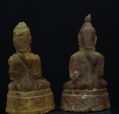IMGP3253