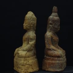 IMGP3254