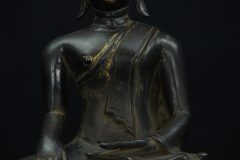IMGP3574