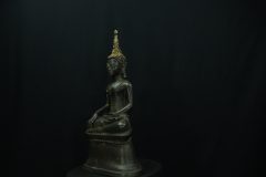 IMGP3577