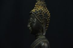IMGP3580