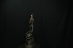 IMGP3581